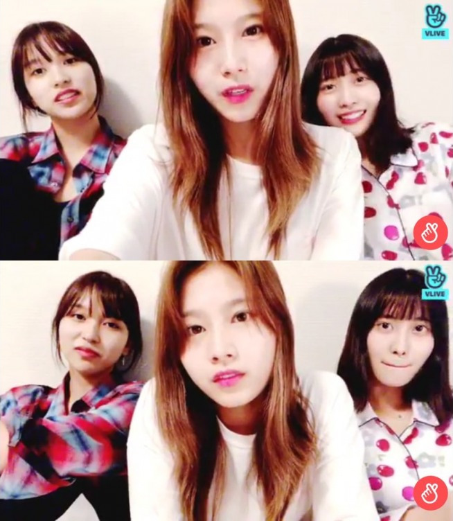 Momen V LIVE Ikonik