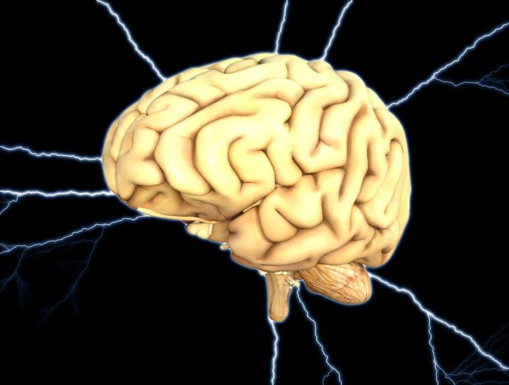 Meningkatkan Memori Verbal & Visual