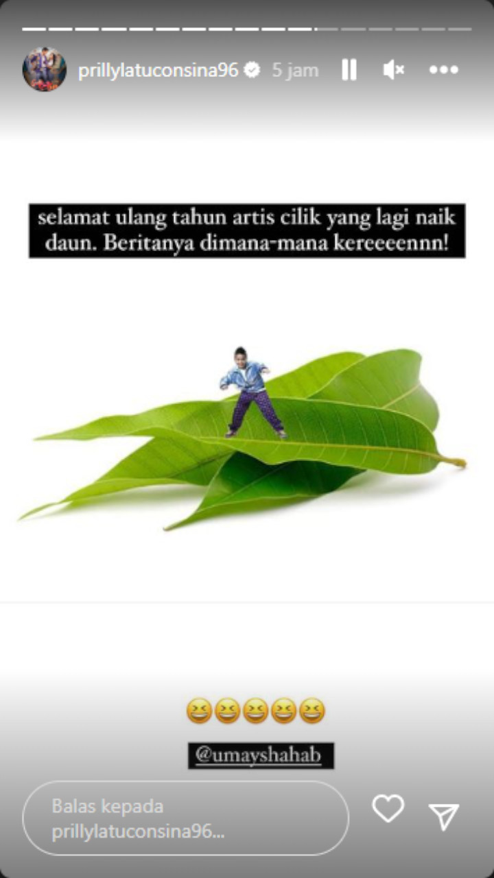 Beri Ucapan Ultah, Prilly Latuconsina Goda Umay Shahab Soal Artis Cilik Naik Daun  Beri Ucapan Ultah, Prilly Latuconsina Goda Umay Shahab Soal Artis Cilik Naik Daun Beri Ucapan Ultah, Prilly Latuconsina Goda Umay Shahab Soal Artis Cilik Naik Daun
