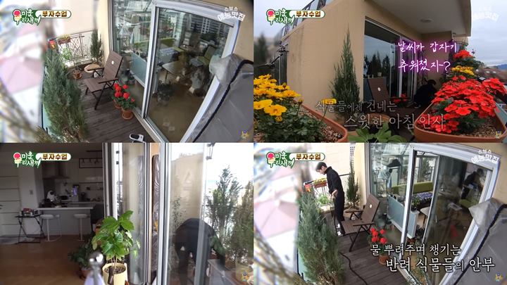 Balkon Mini Dipenuhi Bunga