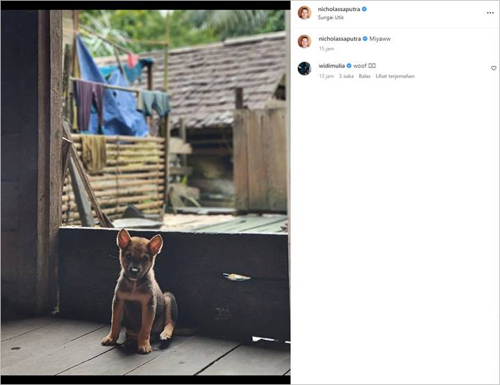 Nicholas Saputra Mendadak Disebut Tunjukkan Bakat Lawak di Postingan Biasa