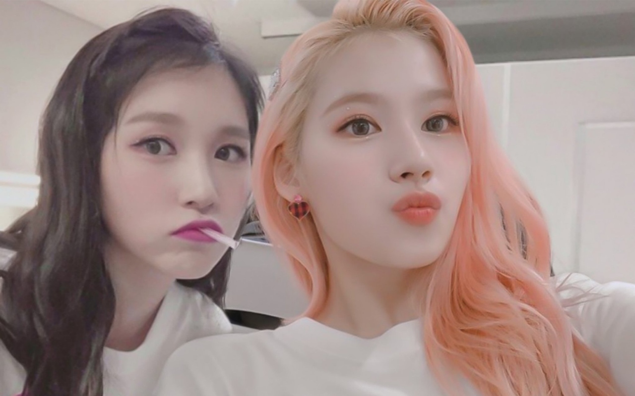 Mina TWICE Ingin Dicium Sana di Hari Ultah