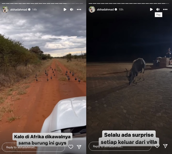Alshad Ahmad Healing ke Afrika di Tengah Kemelut Masalah, Singgung Nama Allah