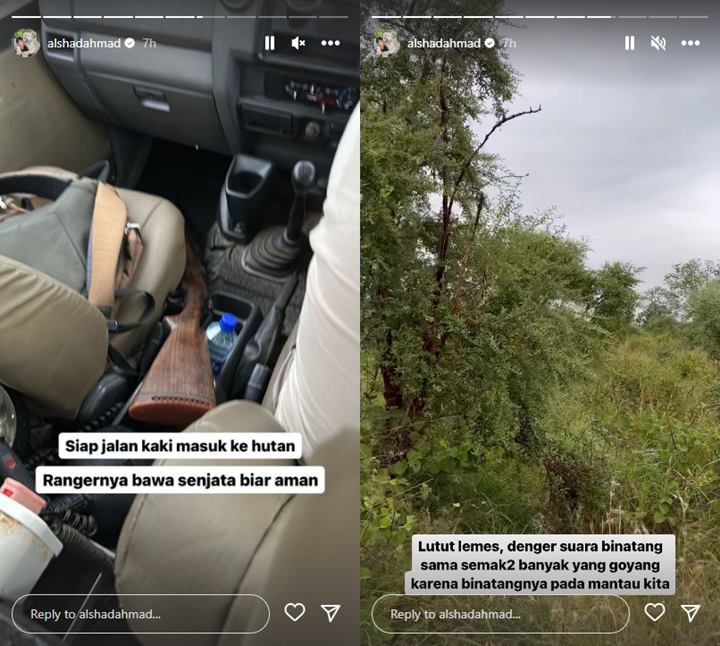 Lutut Alshad Ahmad Lemas Usai Diintai Hewan Saat Safari di Afrika