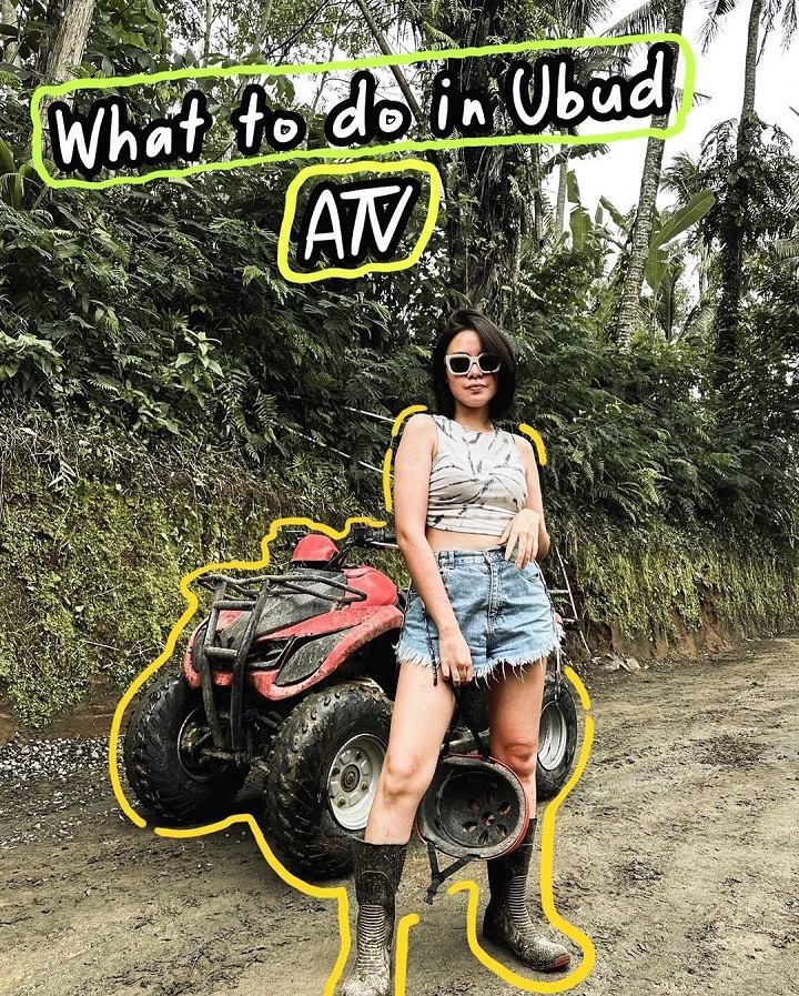 Bak Model ATV
