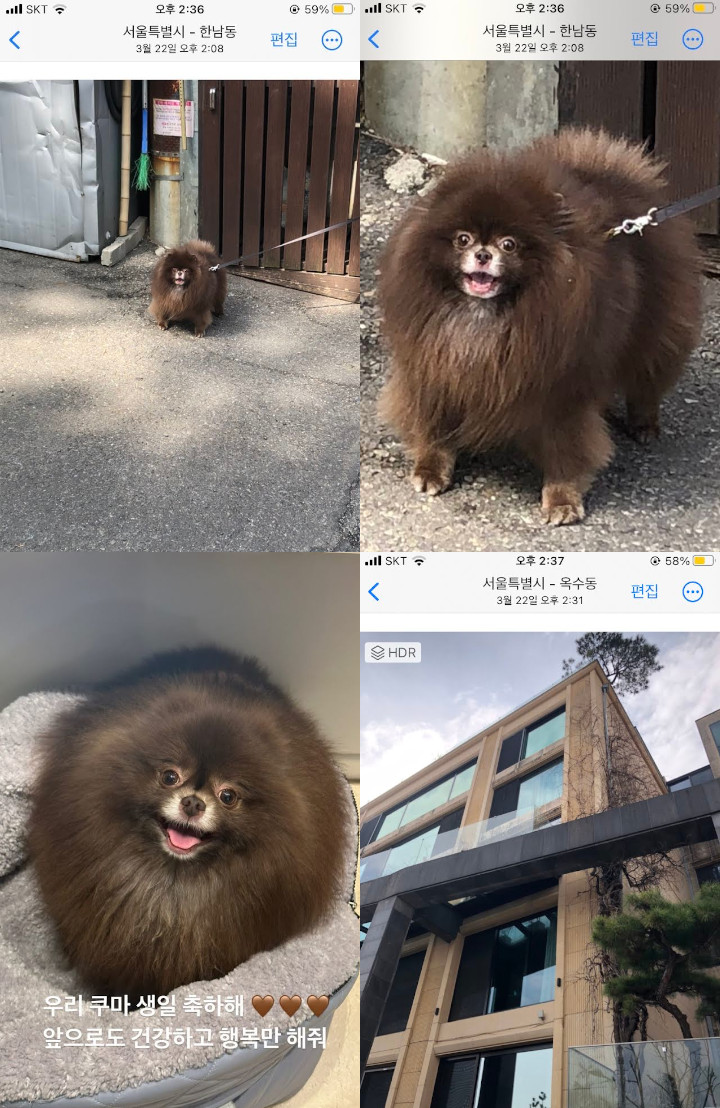 Sosok Tersayang Jennie BLACKPINK Terciduk di Pinggir Jalan