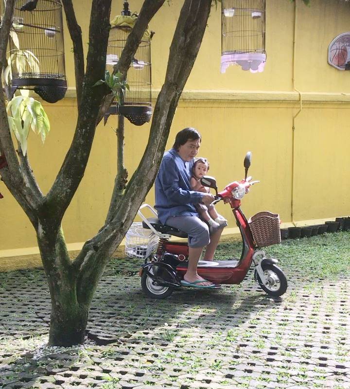 Ahli Urus Keponakan