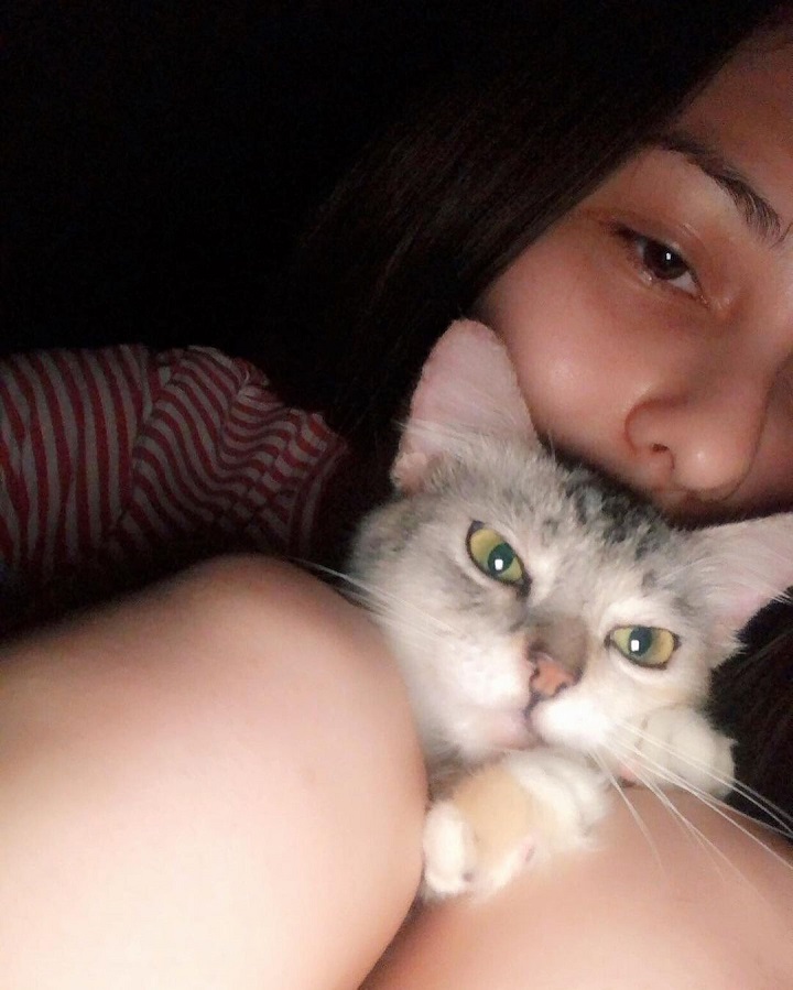 Cat Lover