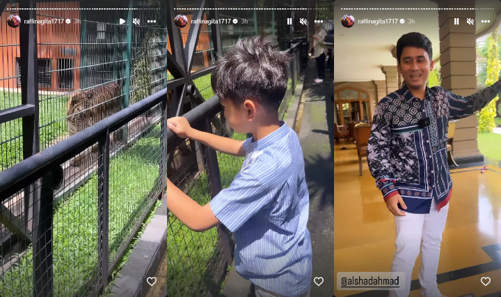 Raffi Ahmad Syok Lihat Ukuran Harimau Alshad Ahmad, Rafathar Stay Cool Raffi Ahmad Syok Lihat Ukuran Harimau Alshad Ahmad, Rafathar Stay Cool Raffi Ahmad Syok Lihat Ukuran Harimau Alshad Ahmad, Rafathar Stay Cool Raffi Ahmad Syok Lihat Ukuran Harimau Alshad Ahmad, Rafathar Stay Cool