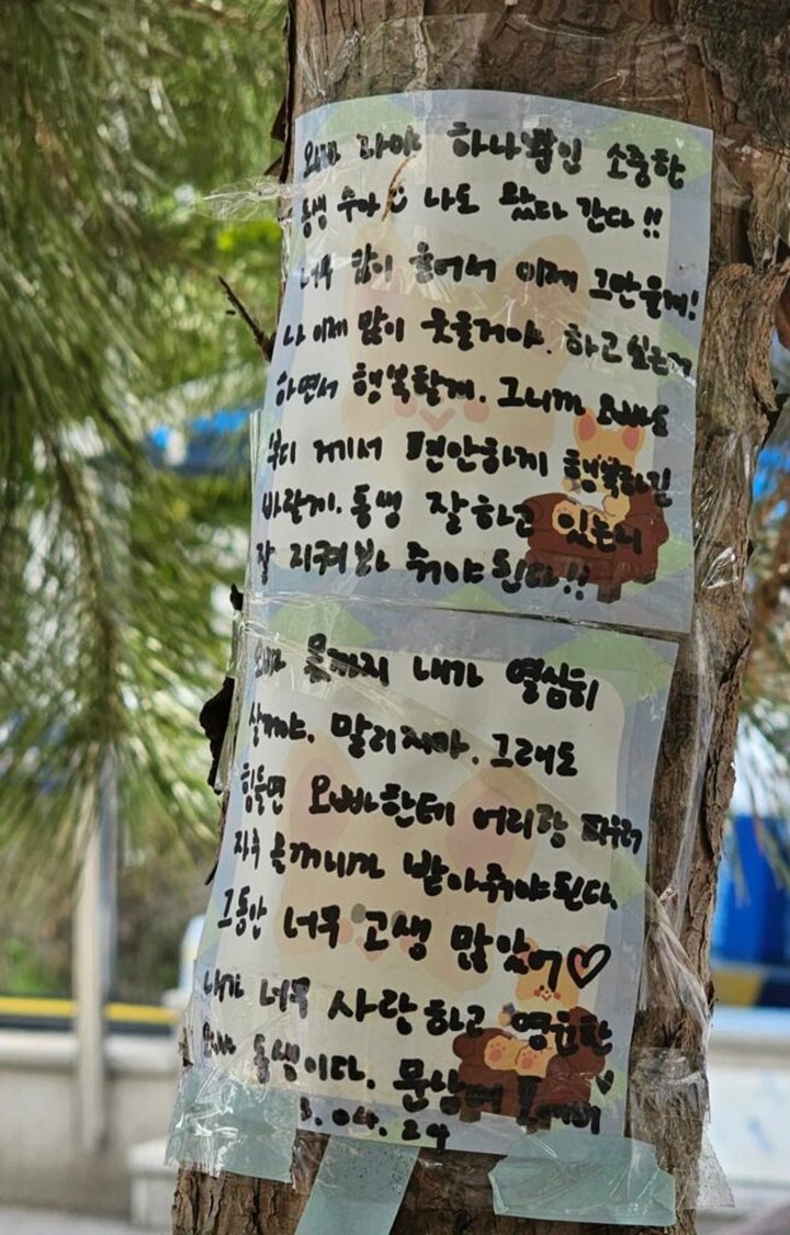 Mampir di Memorial Moonbin, Member ASTRO Hingga Moon Sua Billlie Tulis Surat Haru