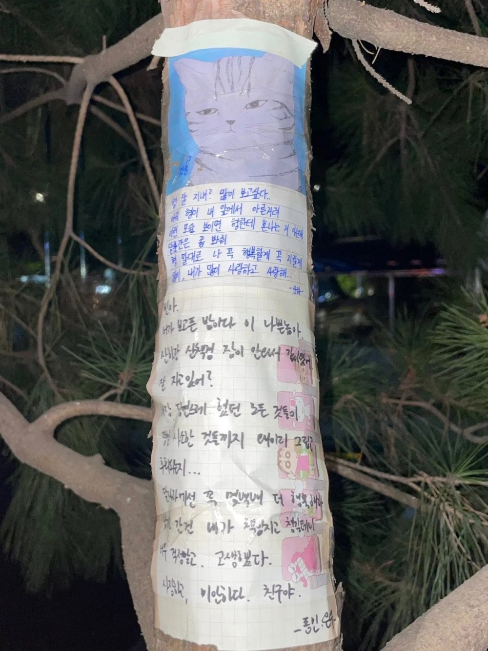 Cha Eun Woo Minta Maaf, Sanha Ungkap Cinta Mendalam untuk Mendiang Moonbin Di Suratnya