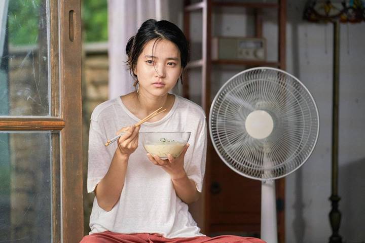'Little Forest' (2018)