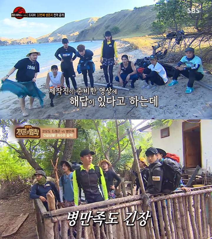 'Law of the Jungle'