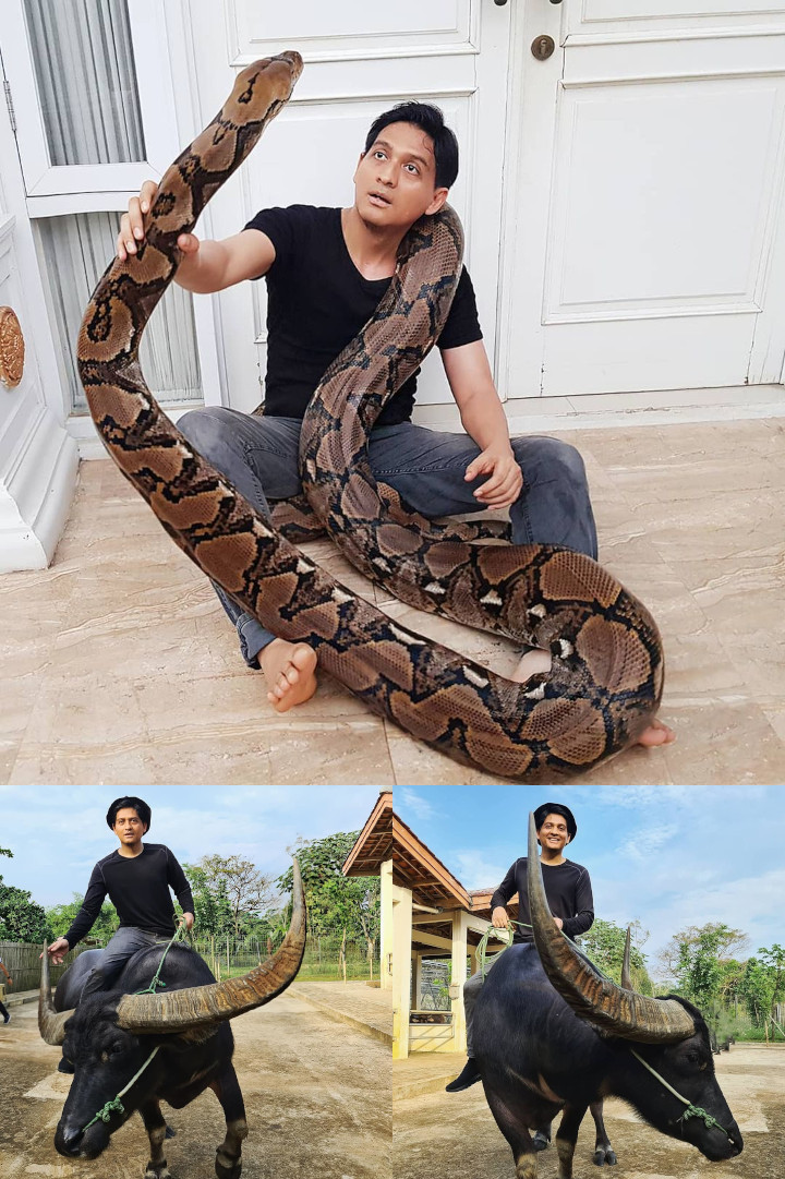 Lucky Hakim