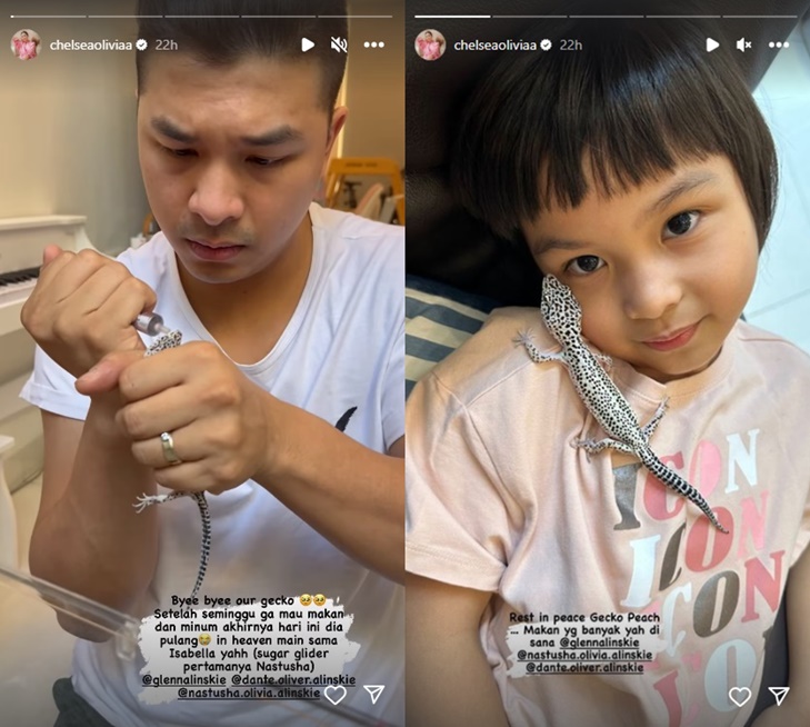 Chelsea Olivia Bagikan Kabar Duka, Mikhayla Anak Nia Ramadhani Cantik Rayakan Ultah - Topik Pagi
