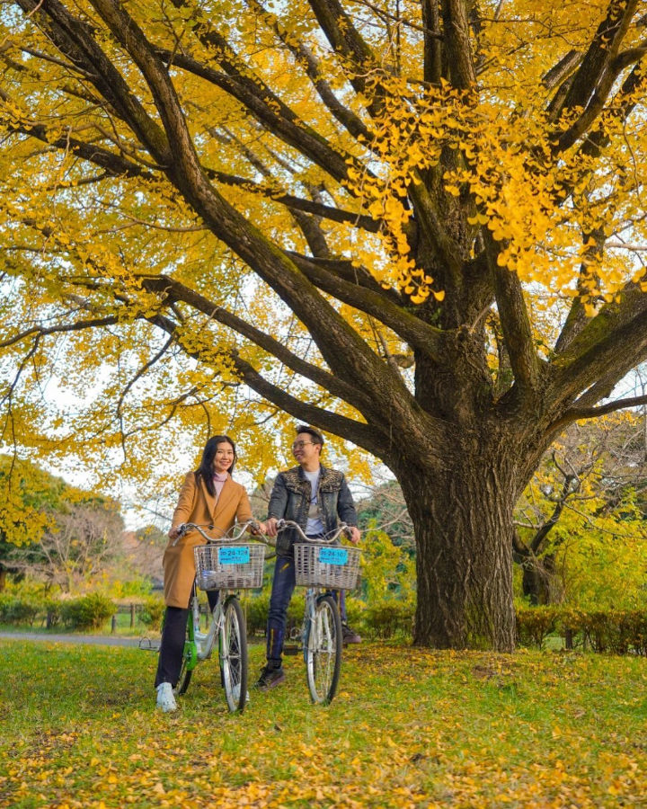 Bersepeda Bersama ala 'Endless Love' di Jepang