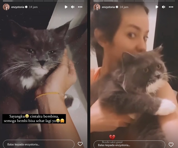 Enzy Storia Mendadak Bagikan Kabar Duka Enzy Storia Mendadak Bagikan Kabar Duka
