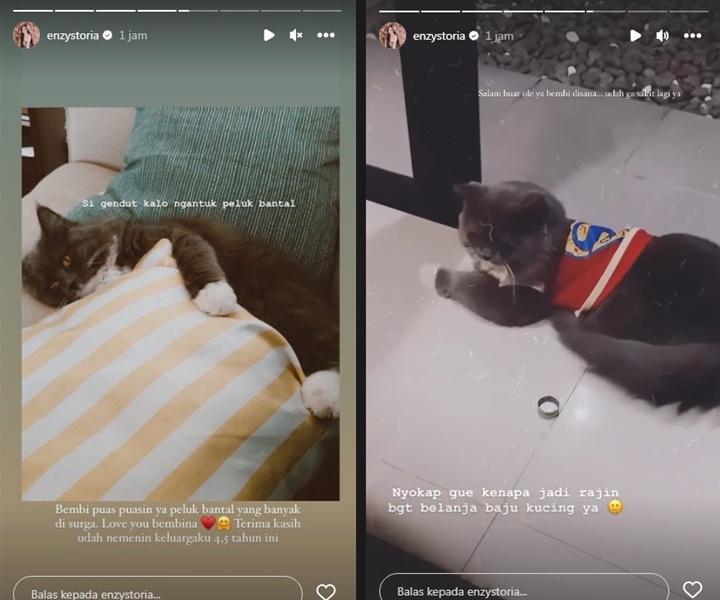 Citra Kirana Dukung Rezky Aditya Tes DNA, Arya Saloka Semringah Di Postingan Baru-Topik Pagi