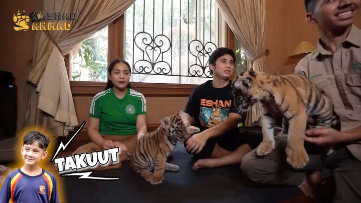 Nagita Slavina Berani Kelonin Harimau Alshad Ahmad, Rafathar Tak Gengsi Akui Takut