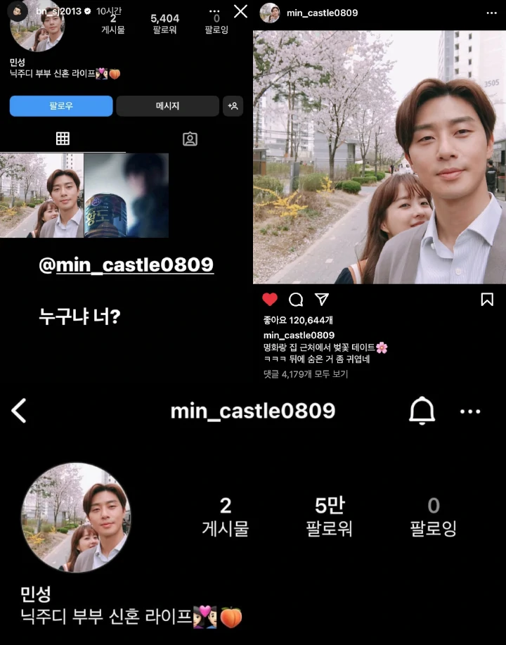 Park Seo Joon Nemu Akun Kembaran Pakai Fotonya Bareng Park Bo Young
