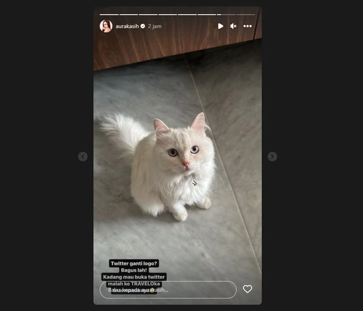 Banyak yang Sedih, Aura Kasih Justru Bersyukur Twitter Ganti Logo Jadi X Banyak yang Sedih, Aura Kasih Justru Bersyukur Twitter Ganti Logo Jadi X