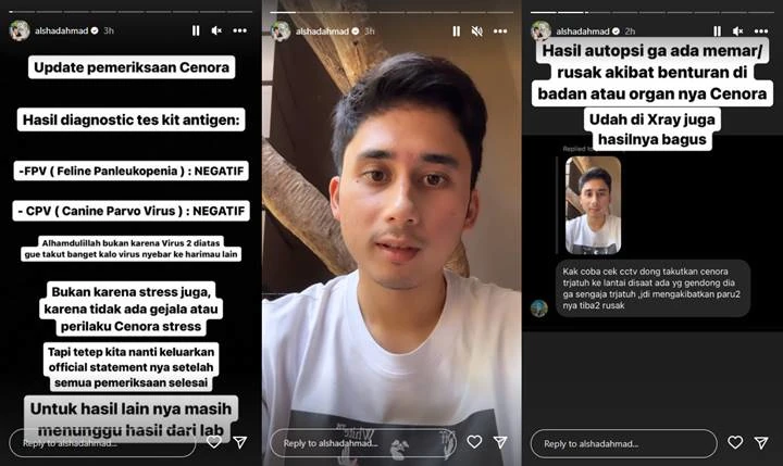 Alshad Ahmad Beber Hasil Pemeriksaan Anak Harimaunya yang Mati, Tegaskan Bukan Karen Stress