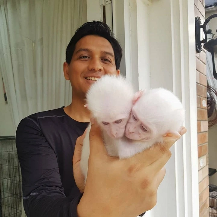 Lucky Hakim