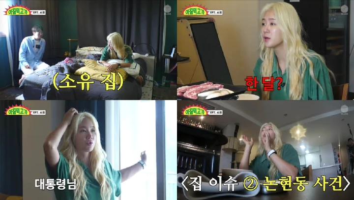 Tinggal di Kawasan Elit, Soyou Eks Sistar Tetanggaan dengan Presiden Korea Selatan