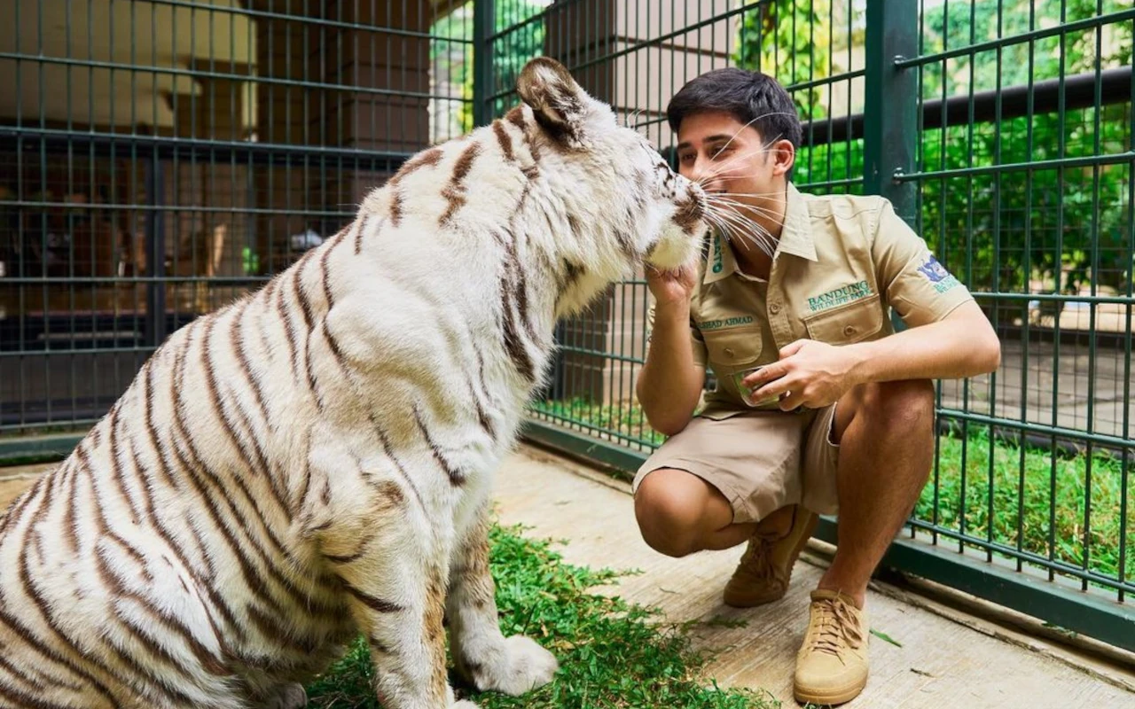 Ramai Dikritik, Alshad Ahmad Akhirnya Spill Alasan Ngontenin Harimau Peliharaannya