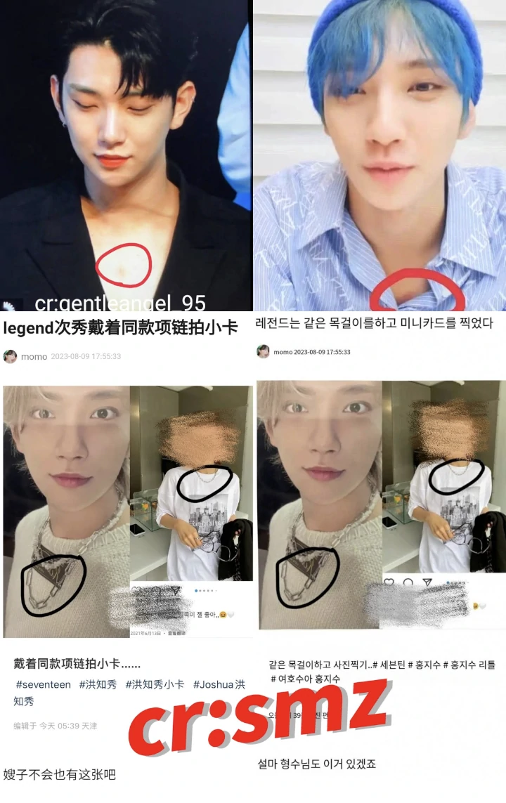 Tuduhan Joshua Hong SEVENTEEN Pakai Barang Couple di PC dan Pamer Cupang Diragukan