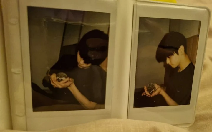 Foto Gemes Polaroid