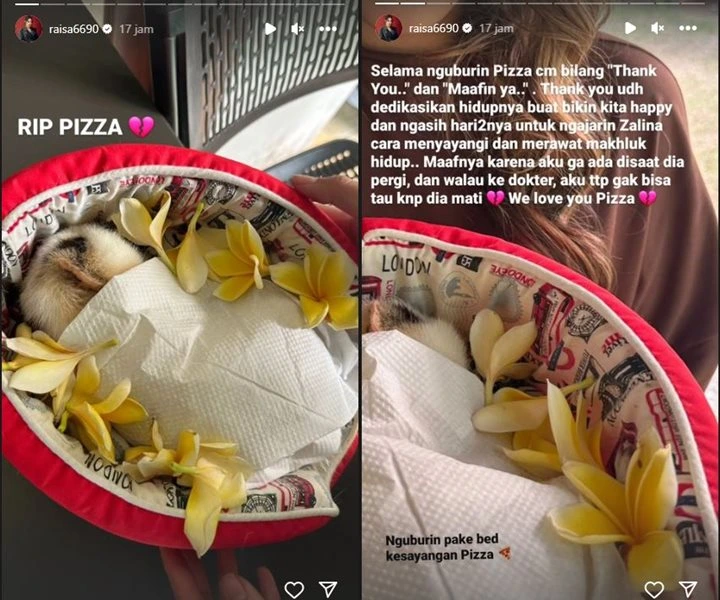 Raisa Bagikan Kabar Duka, Pesan Perpisahan Bikin Nyesek Raisa Bagikan Kabar Duka, Pesan Perpisahan Bikin Nyesek Raisa Bagikan Kabar Duka, Pesan Perpisahan Bikin Nyesek