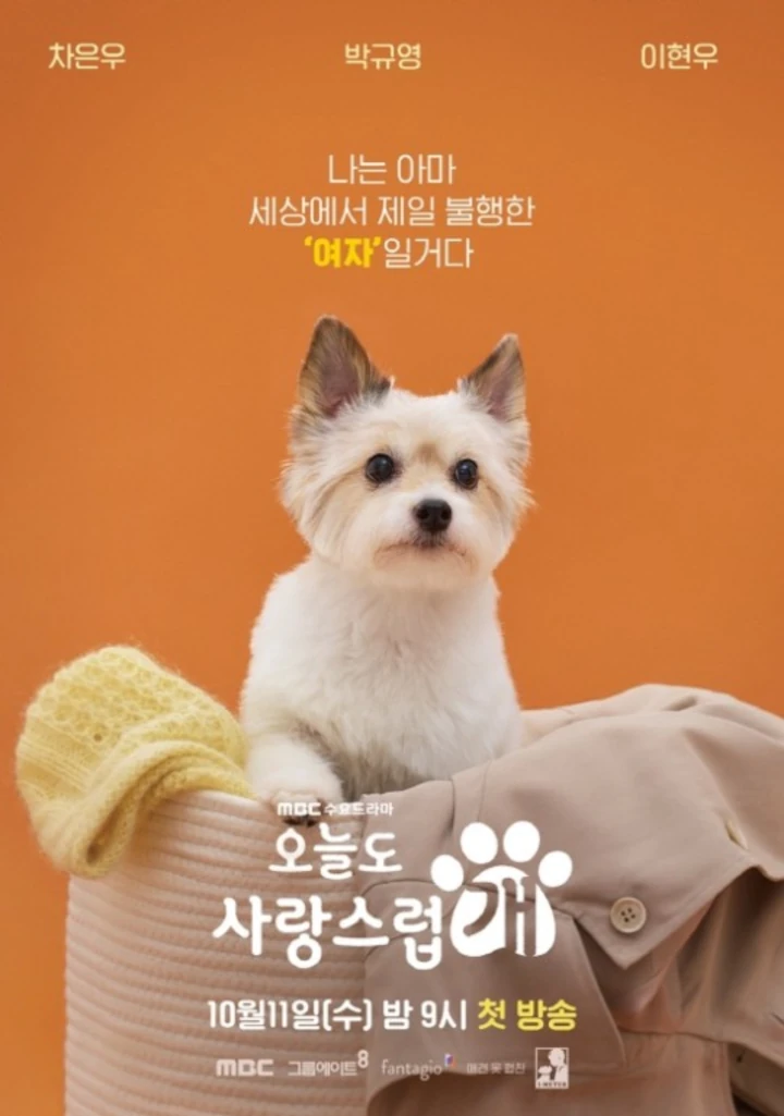 Tampilan Park Gyu Young Sebagai Anjing di \'A Good Day to Be a Dog\' Dipuji Terlalu Imut