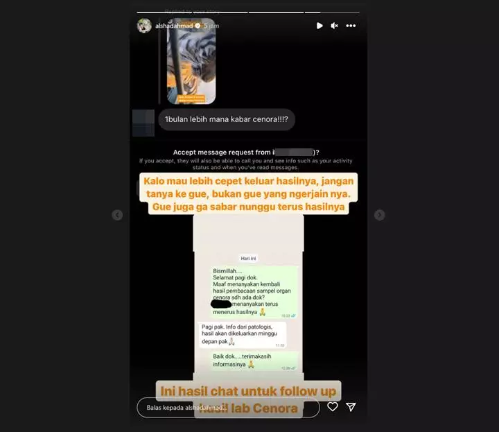 Kata Alshad Ahmad Soal Hasil Lab Cenora Anak Harimaunya yang Mati