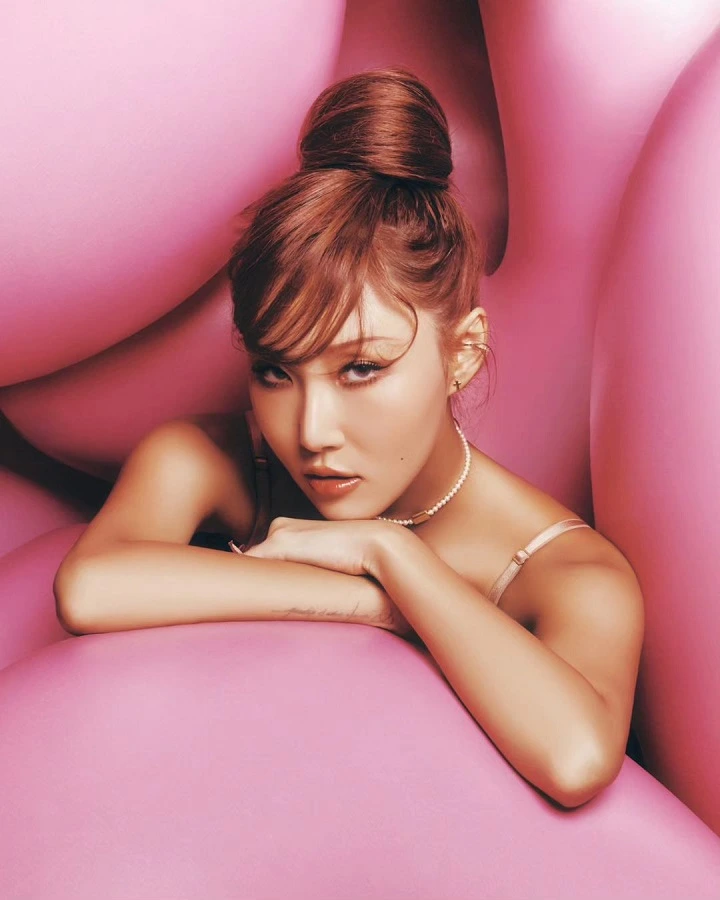 Hwasa MAMAMOO Diselidiki Polisi