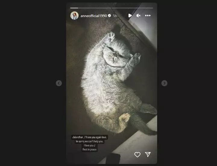 Tulis Pesan Sedih, Putri Anne Bagikan Kabar Berduka