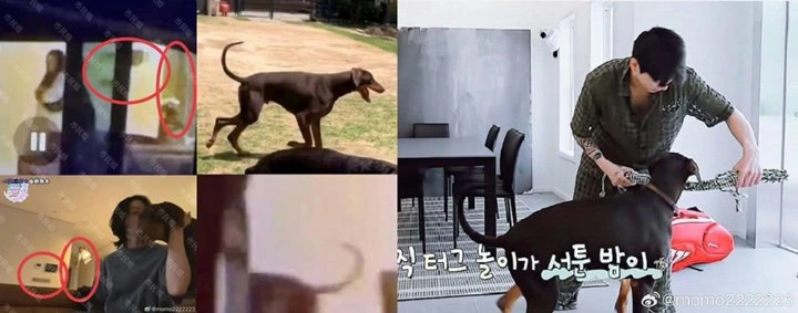 Jungkook BTS Diduga Peluk Cewek di Apartemen