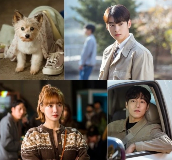 Park Gyu Young Banggakan Drama \'A Good Day to Be a Dog\' Plek Ketiplek Webtoon Park Gyu Young Banggakan Drama \'A Good Day to Be a Dog\' Plek Ketiplek Webtoon Park Gyu Young Banggakan Drama \'A Good Day to Be a Dog\' Plek Ketiplek Webtoon