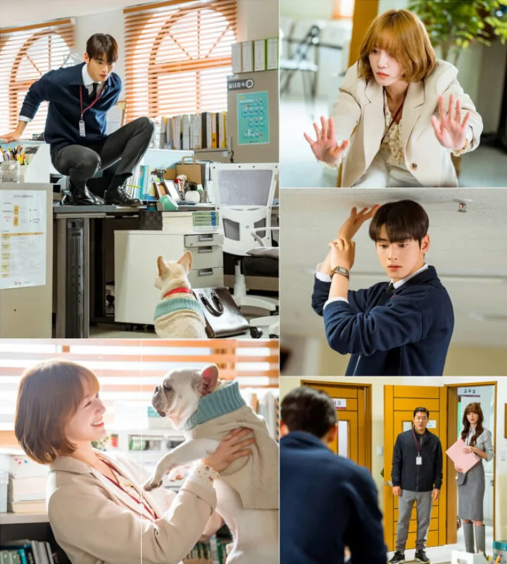 Park Gyu Young Selamatkan Cha Eunwoo Dari Bahaya di \'A Good Day to Be a Dog\'