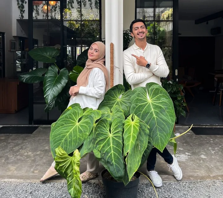 Vebby Palwinta dan Razi Bawazier
