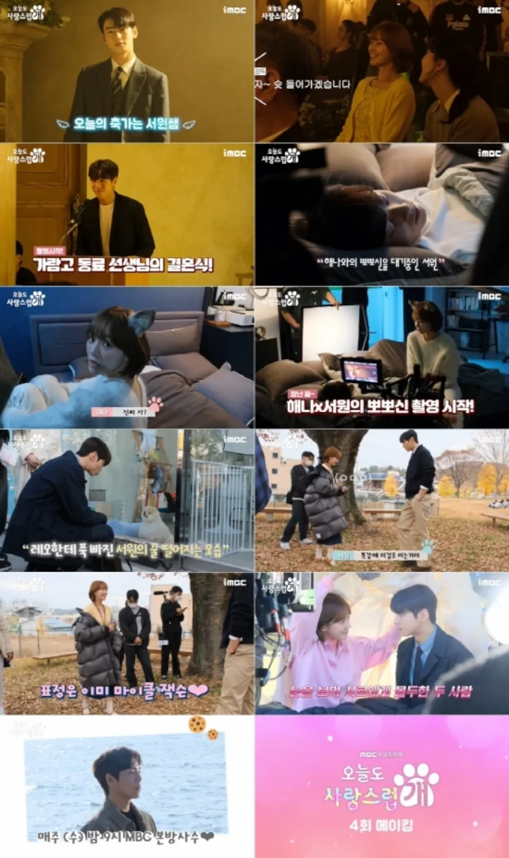 Cha Eunwoo Ajari Park Gyu Young Nari di Lokasi Syuting \'A Good Day to Be a Dog\'