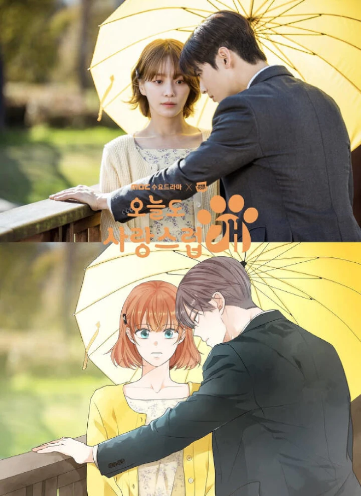Kelemahan Jadwal Tayang \'A Good Day to Be a Dog\' Dikupas Kritikus Drama