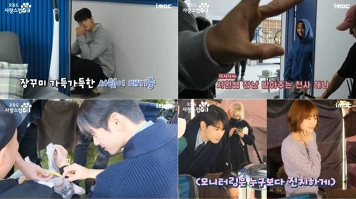 Park Gyu Young Gombali Cha Eunwoo di Lokasi Syuting \'A Good Day to Be a Dog\' Park Gyu Young Gombali Cha Eunwoo di Lokasi Syuting \'A Good Day to Be a Dog\'