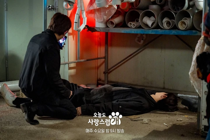 \'A Good Day to Be a Dog\' Episode 8 Recap: Cha Eunwoo Sukses Angkat Kutukan Park Gyu Young