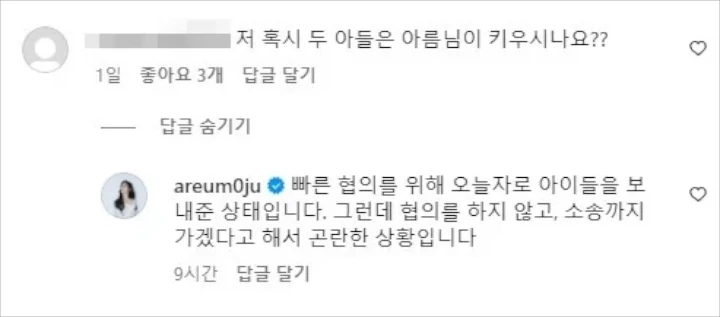 Ahreum eks T-Ara membahas mengenai hak asuh anak
