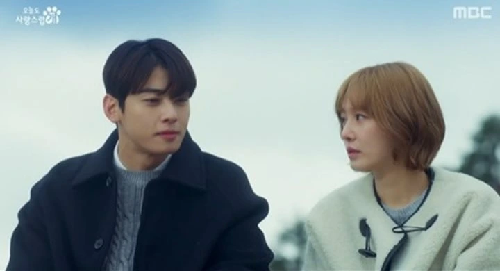 \'A Good Day to Be a Dog\' Episode 11 Recap: Park Gyu Young Ditempatkan di Tengah Dilemma