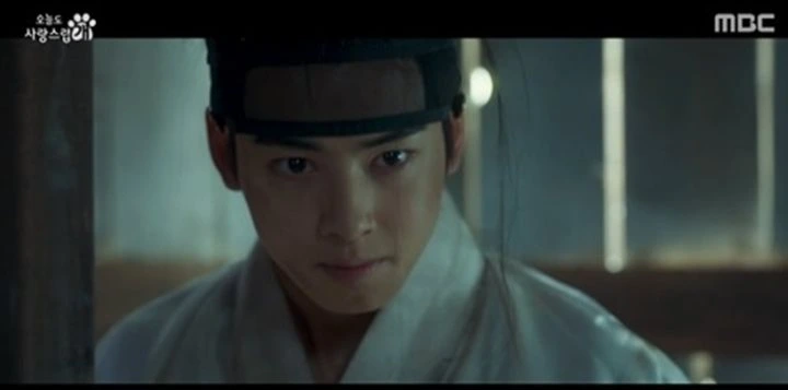 \'A Good Day to Be a Dog\' Episode 11 Recap: Park Gyu Young Ditempatkan di Tengah Dilemma