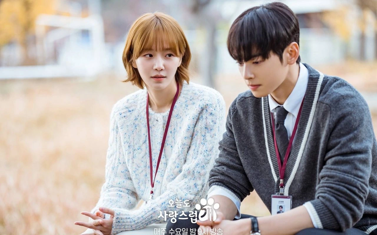 'A Good Day to Be a Dog' Episode 12 Recap: Park Gyu Young Tolak Pengakuan Cinta Cha Eunwoo