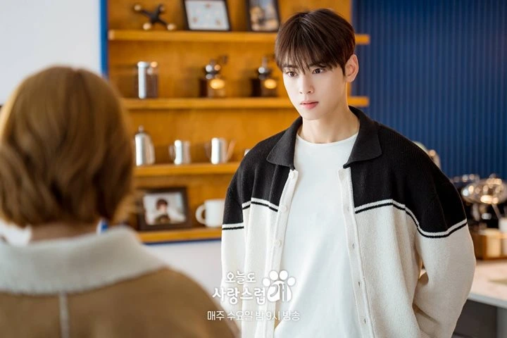 \'A Good Day to Be a Dog\' Episode 12 Recap: Park Gyu Young Tolak Pengakuan Cinta Cha Eunwoo