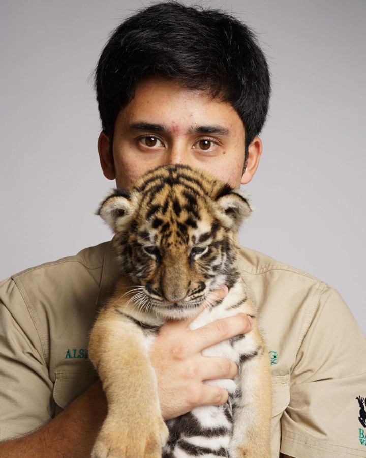 Kematian Anak Harimau Alshad Ahmad
